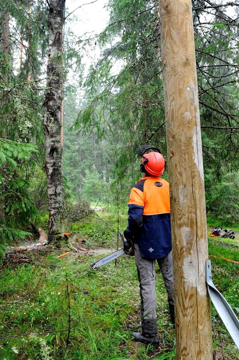 Nätbolagets trädfällningsrådgivning