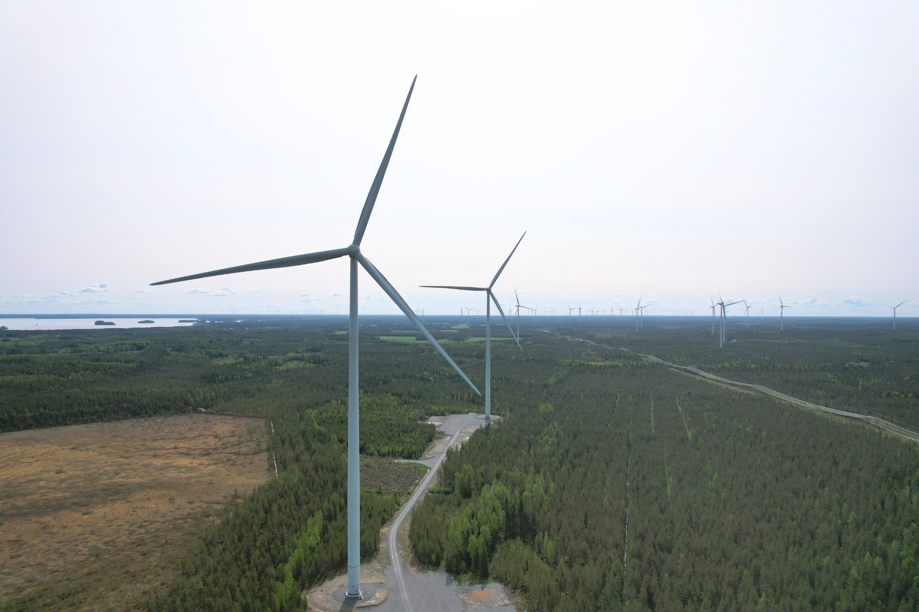 Lestijärven tuulipuisto. Kuva: Joonatan Suokas